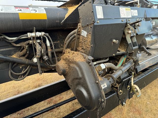 2010 Case IH 2162 Header Draper