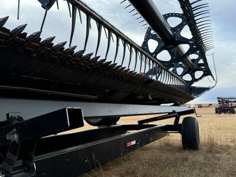 2010 Case IH 2162 Header Draper