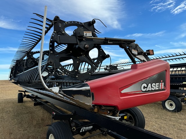 2010 Case IH 2162 Header Draper