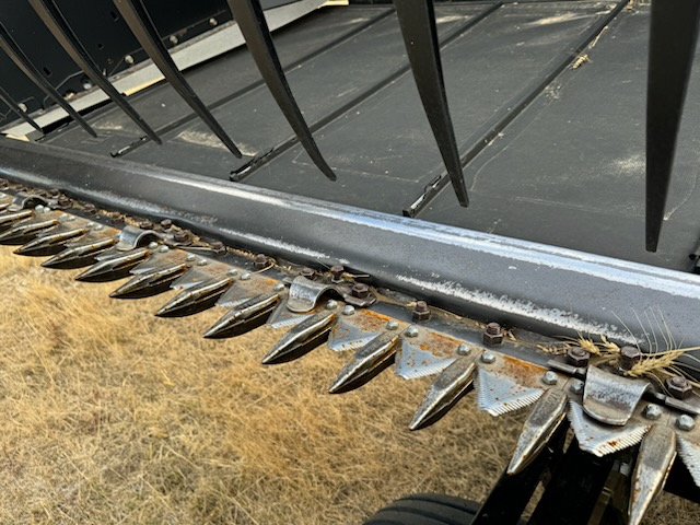 2010 Case IH 2162 Header Draper