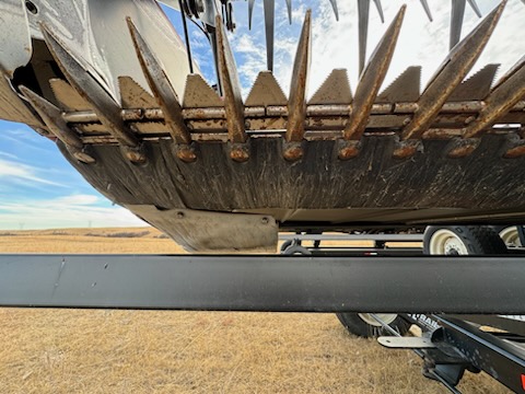 2010 Case IH 2162 Header Draper