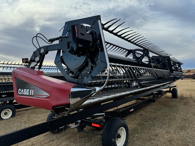 2010 Case IH 2162 Header Draper