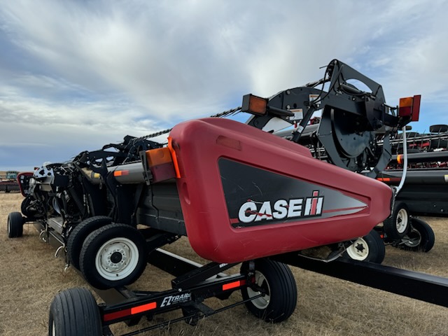 2010 Case IH 2162 Header Draper