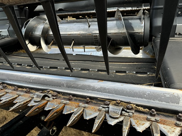 2010 Case IH 2162 Header Draper