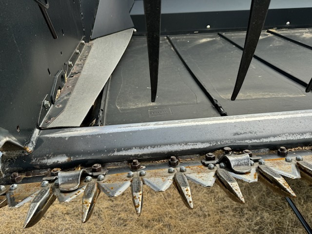 2010 Case IH 2162 Header Draper