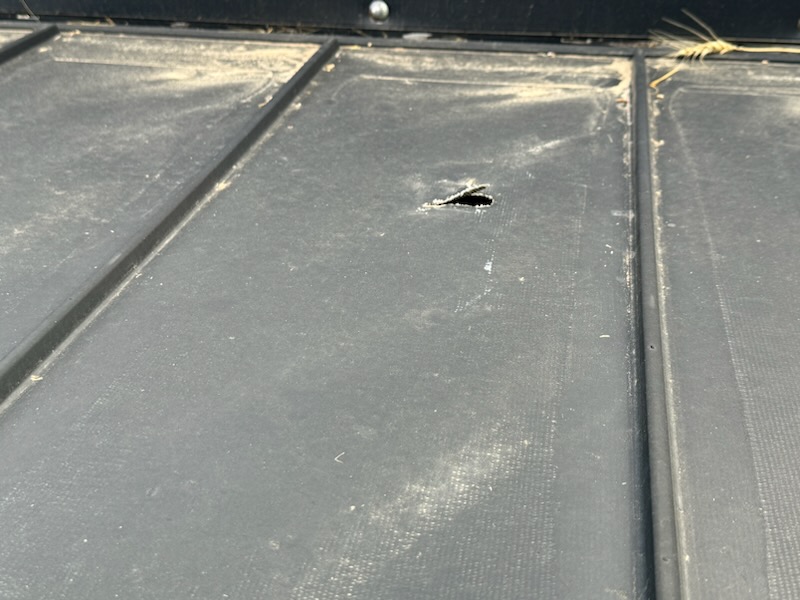 2010 Case IH 2162 Header Draper