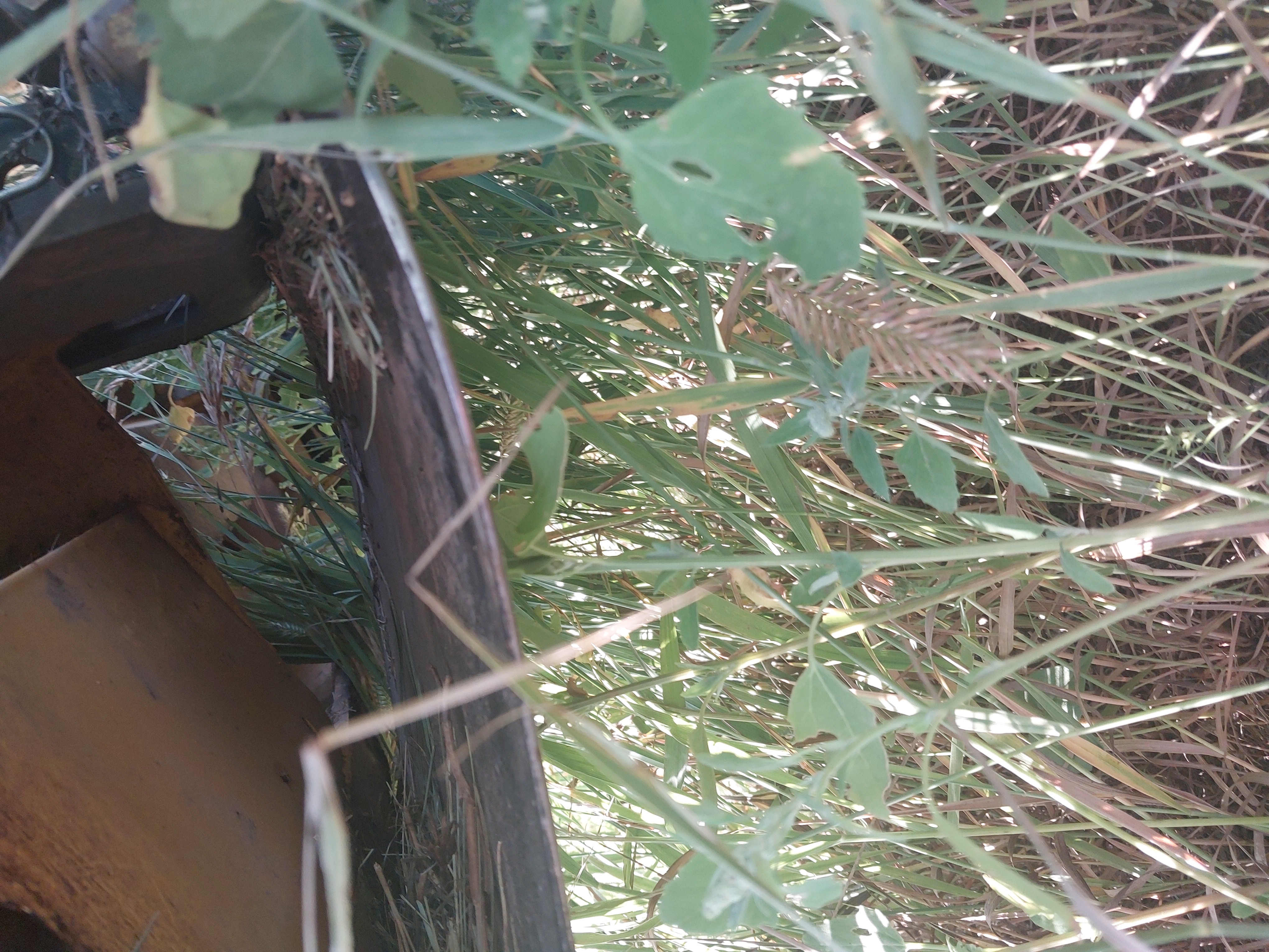 2014 New Holland H7150 Mower Conditioner