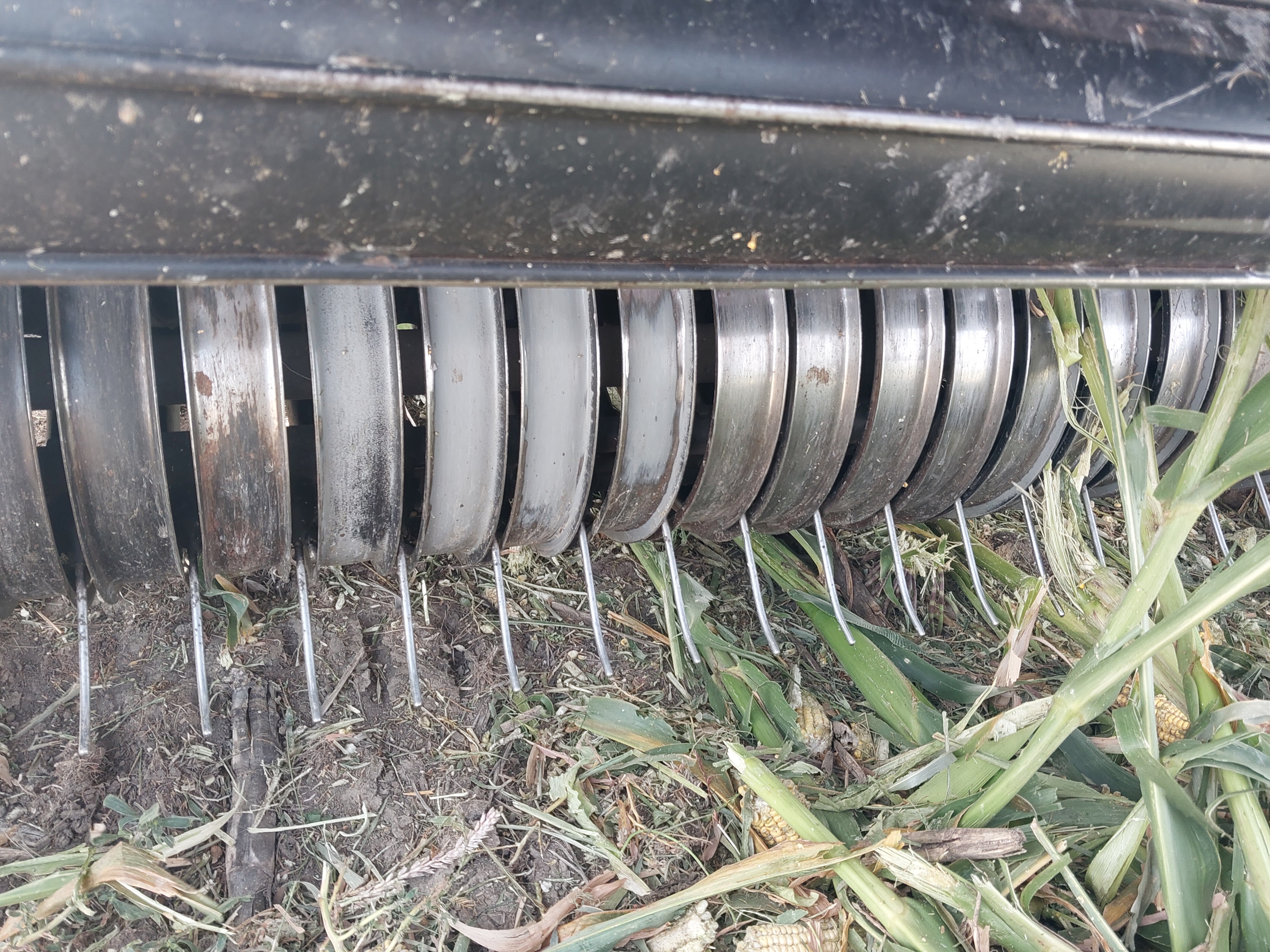 2021 Case IH RB565 Baler/Round