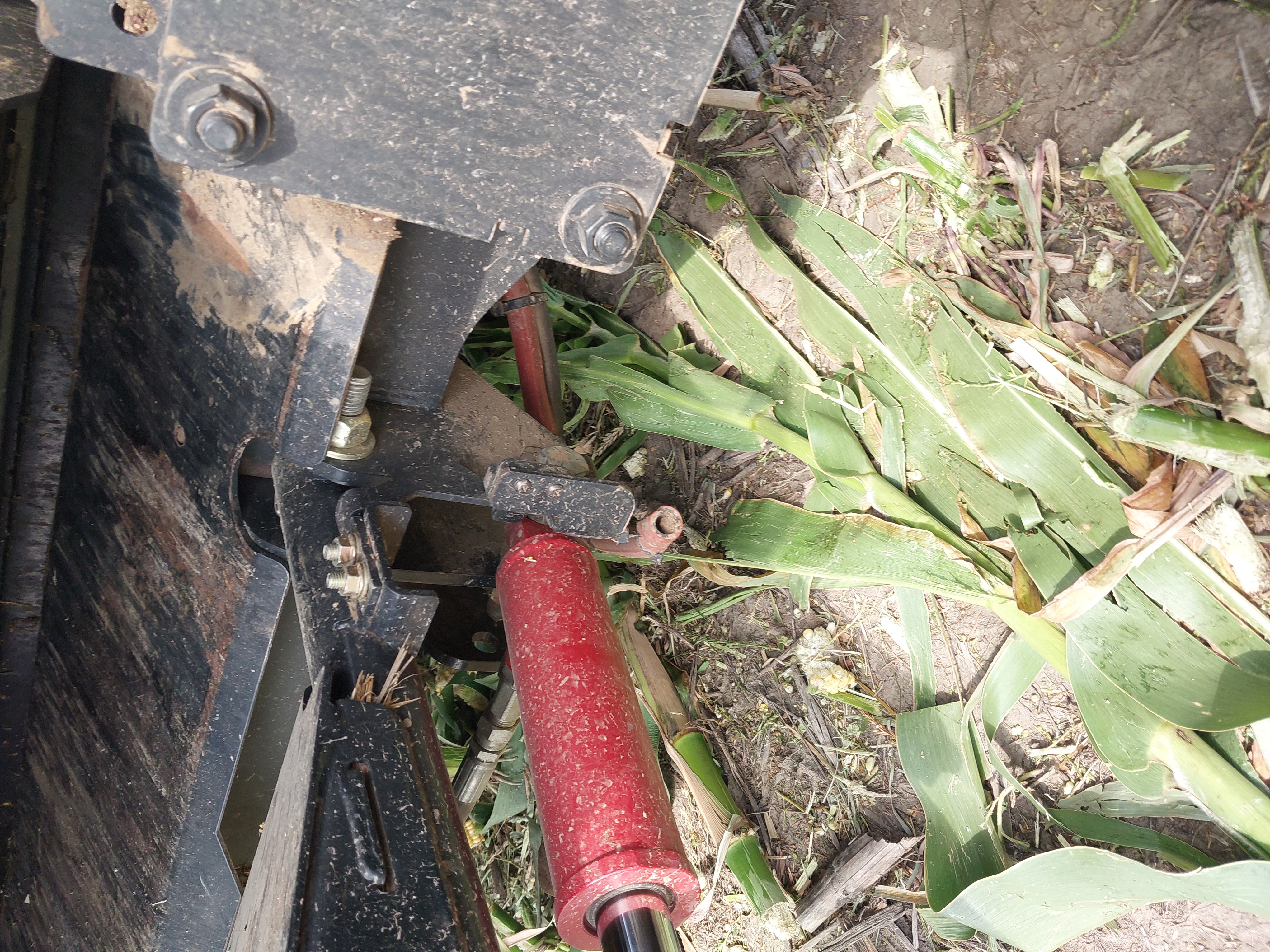 2021 Case IH RB565 Baler/Round