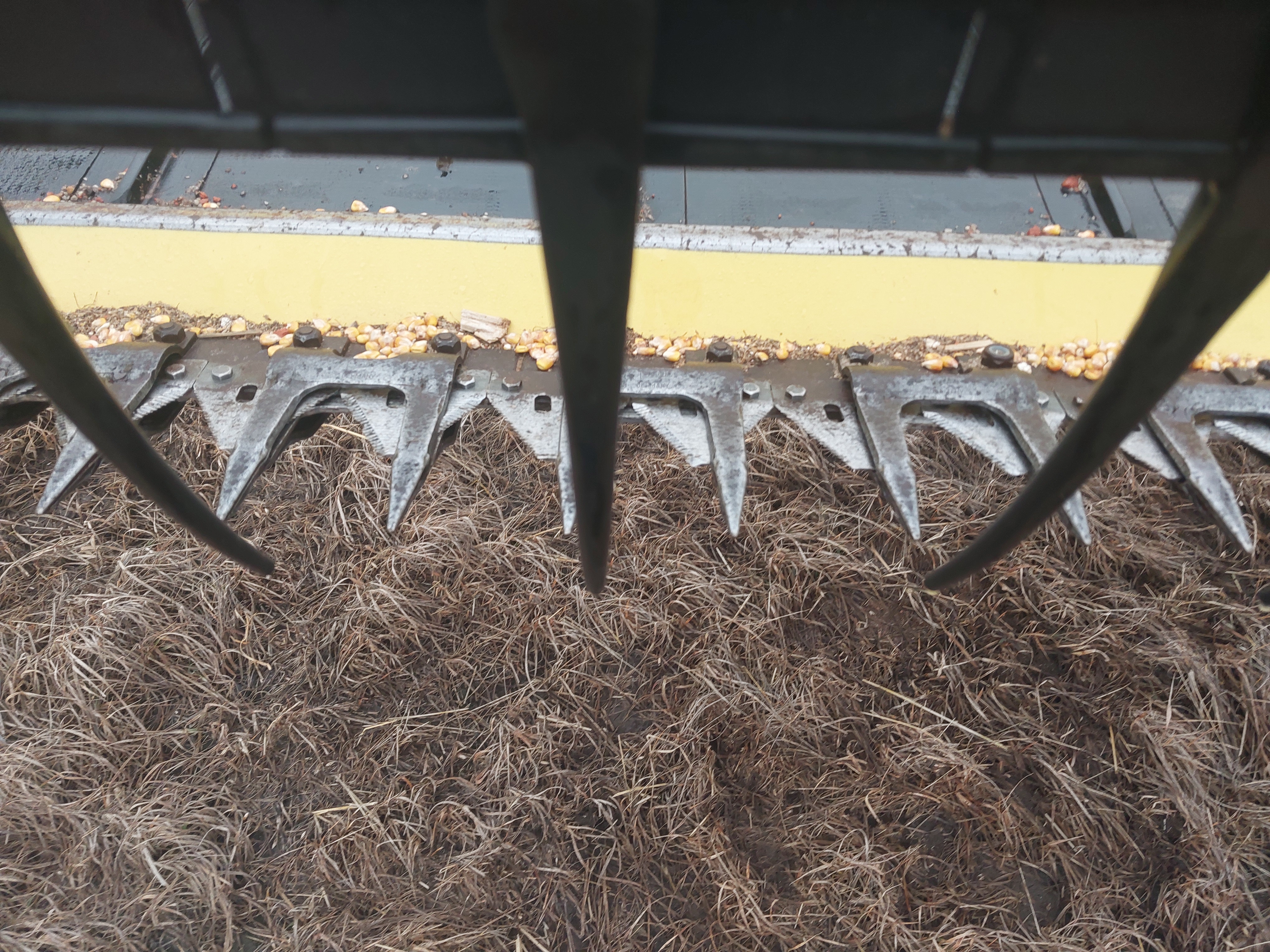 2001 Honey Bee SP36 Header Draper