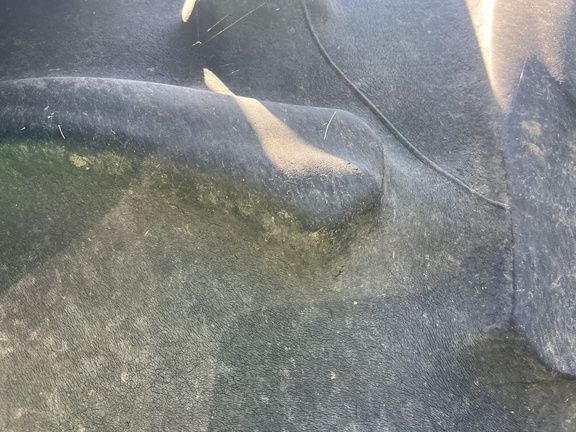 2013 John Deere 9460R Tractor 4WD