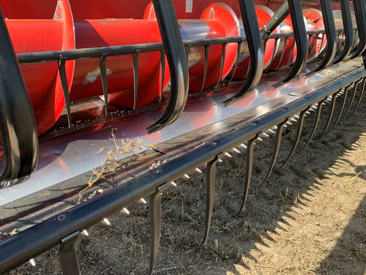 2009 Case IH 2020 Header Flex