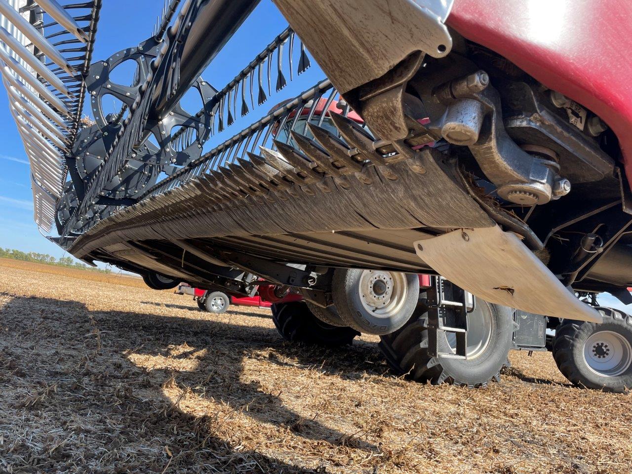 2010 Case IH 2162 Header Draper