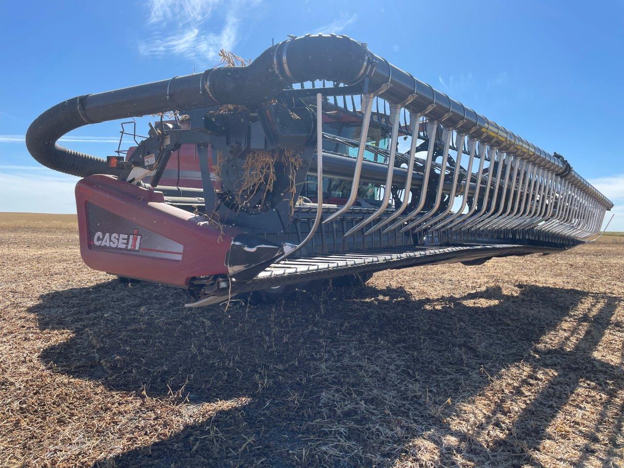 2010 Case IH 2162 Header Draper