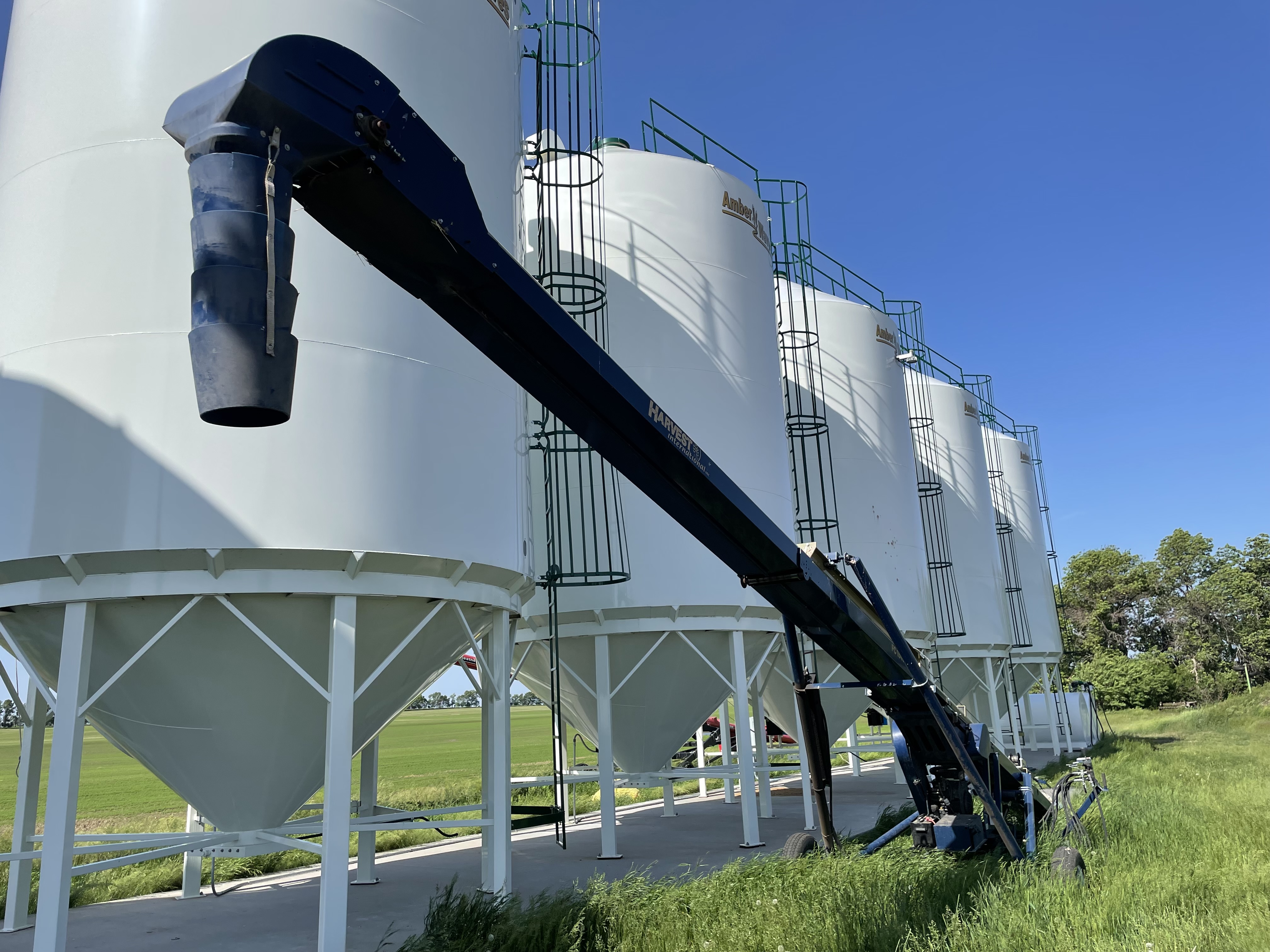 2015 Harvest International FC1545 Belt Conveyor