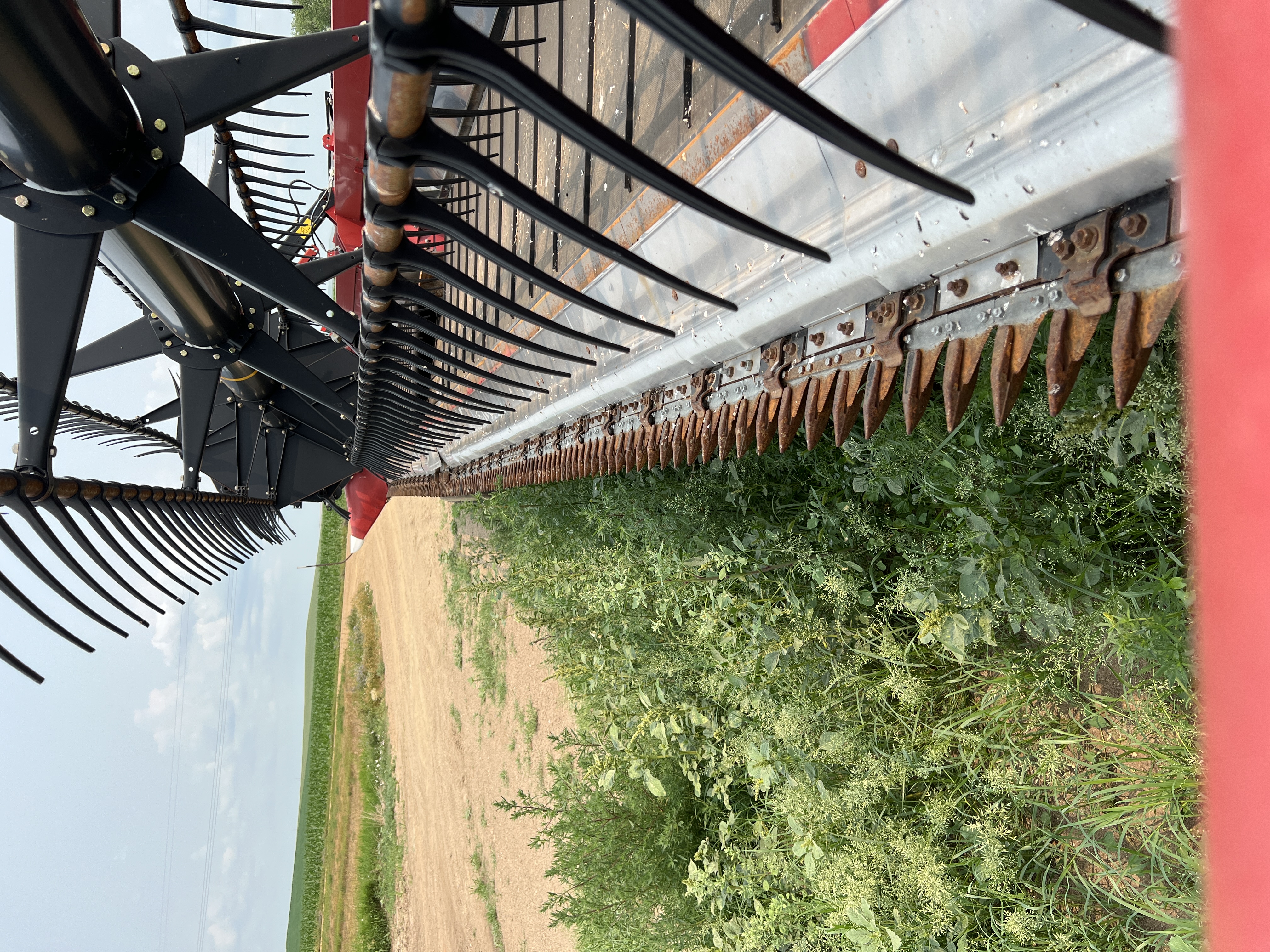 2019 Case IH 3162 Header Draper