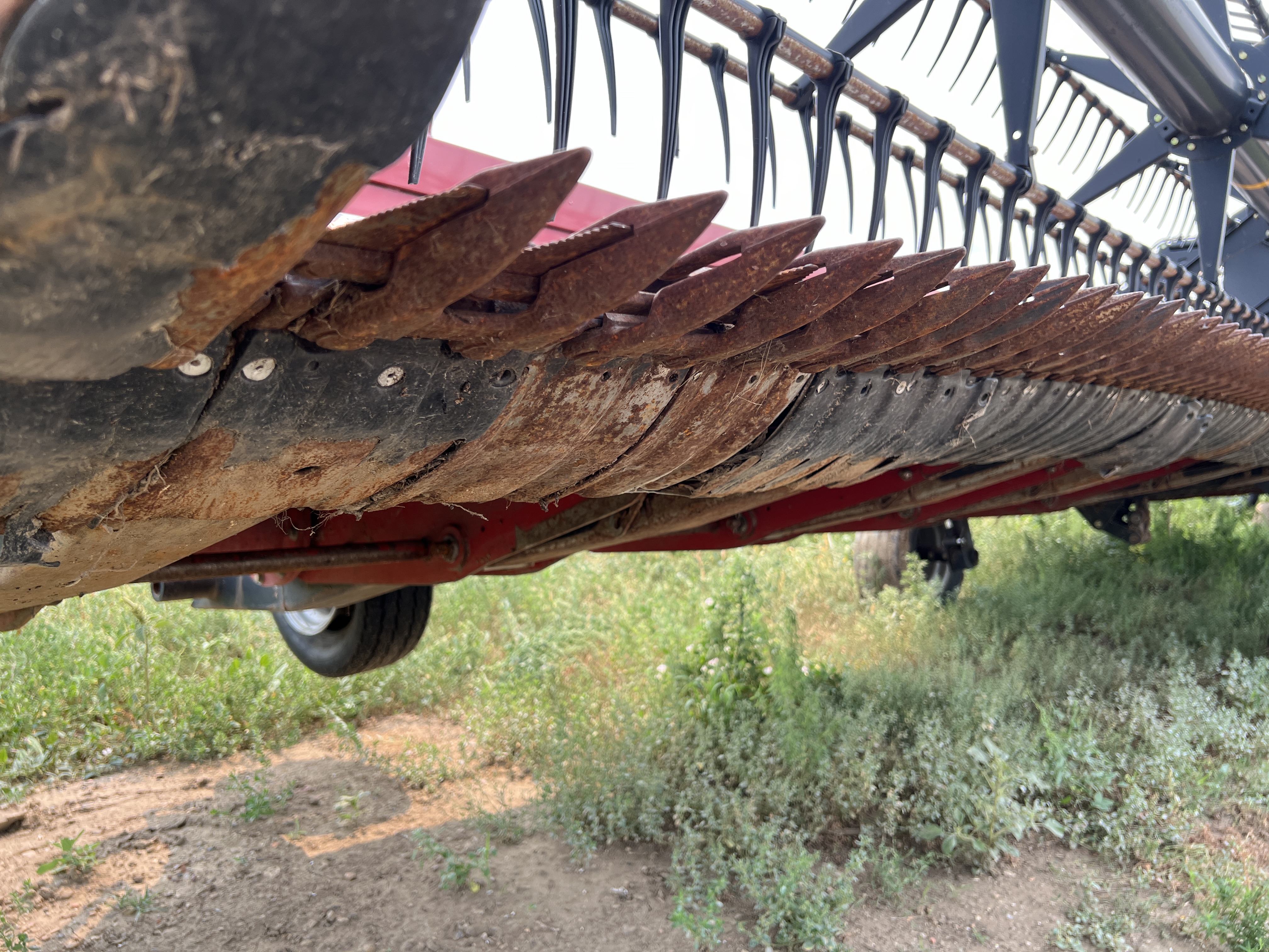 2019 Case IH 3162 Header Draper