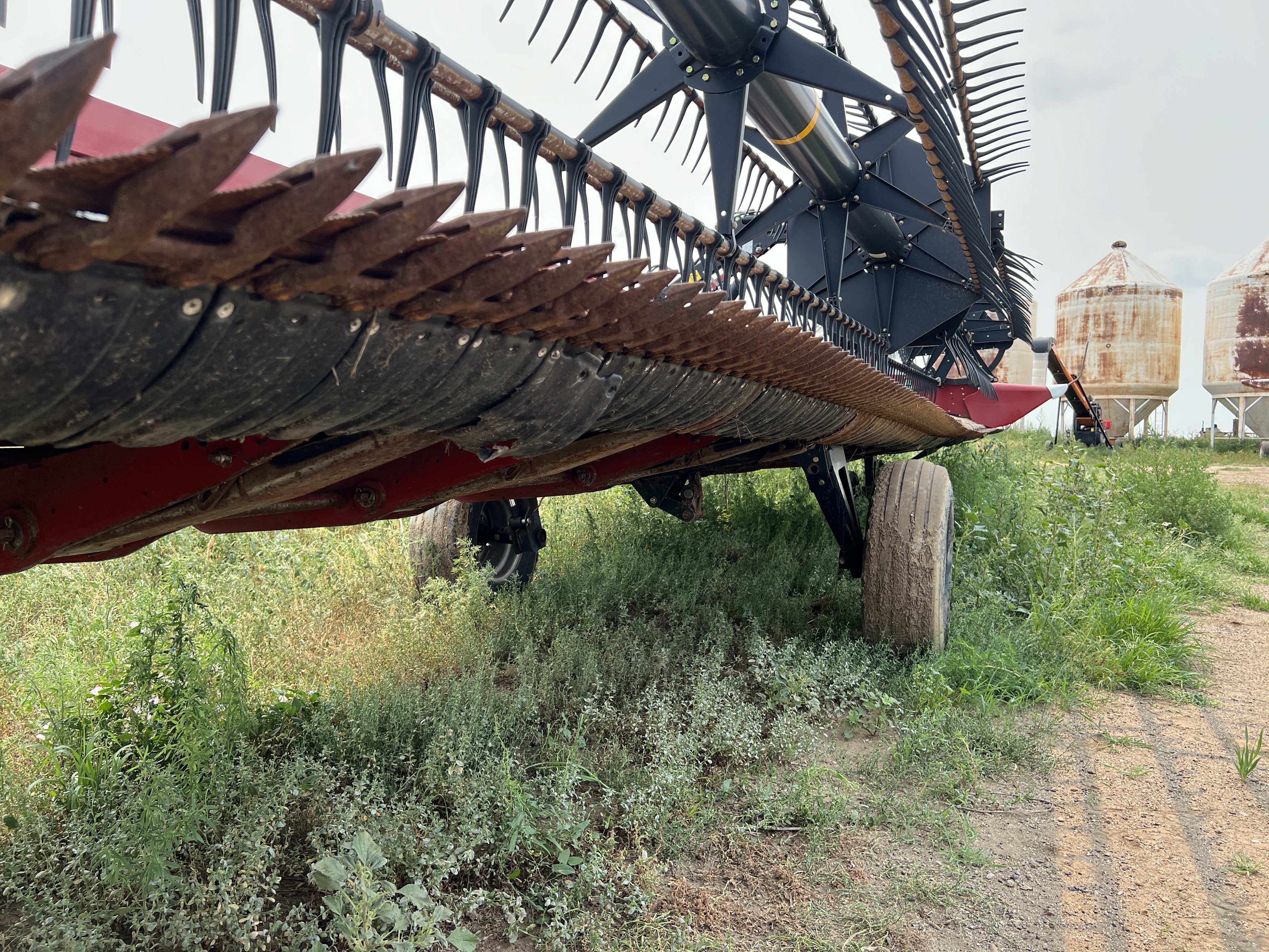 2019 Case IH 3162 Header Draper