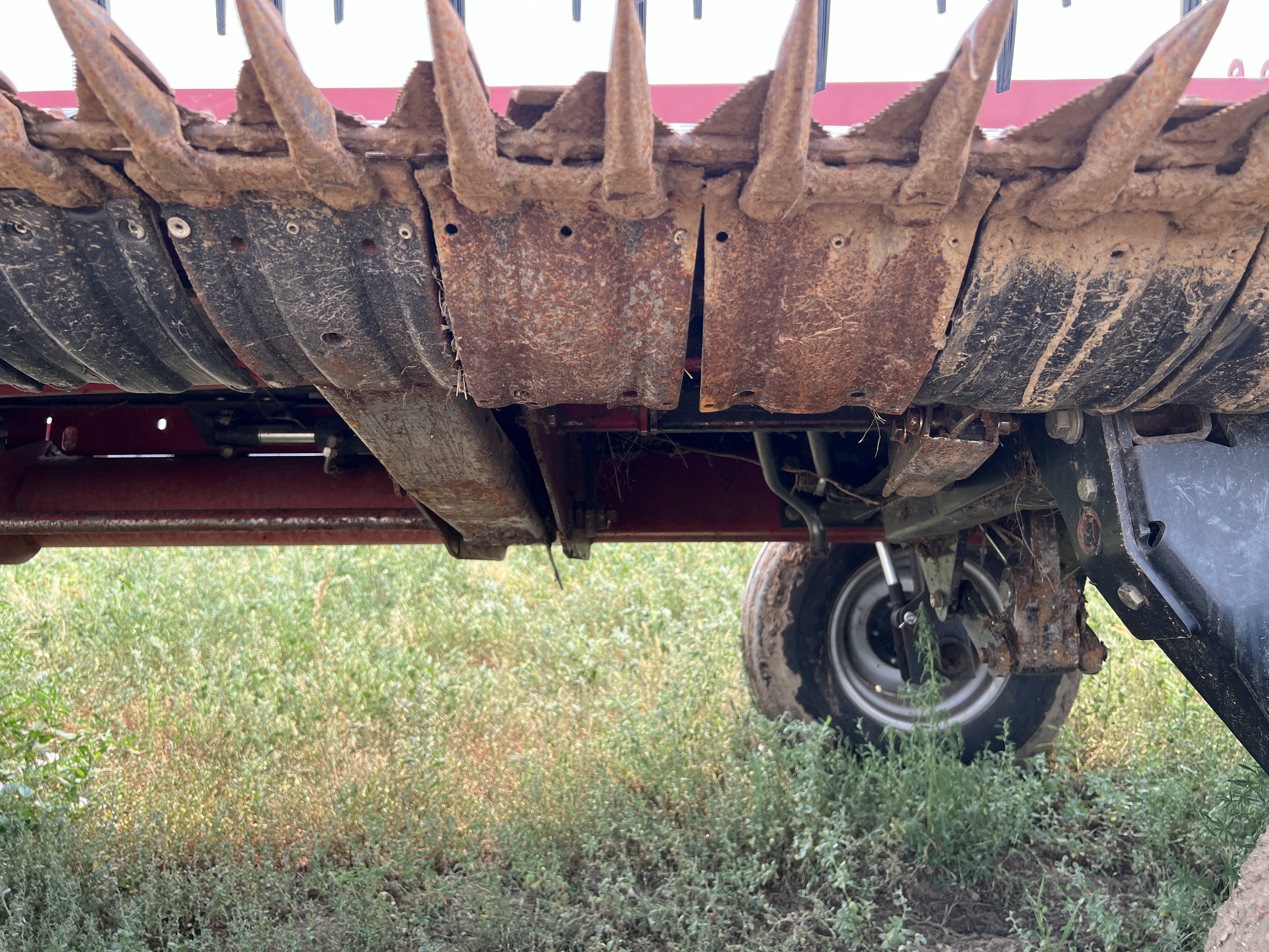 2019 Case IH 3162 Header Draper