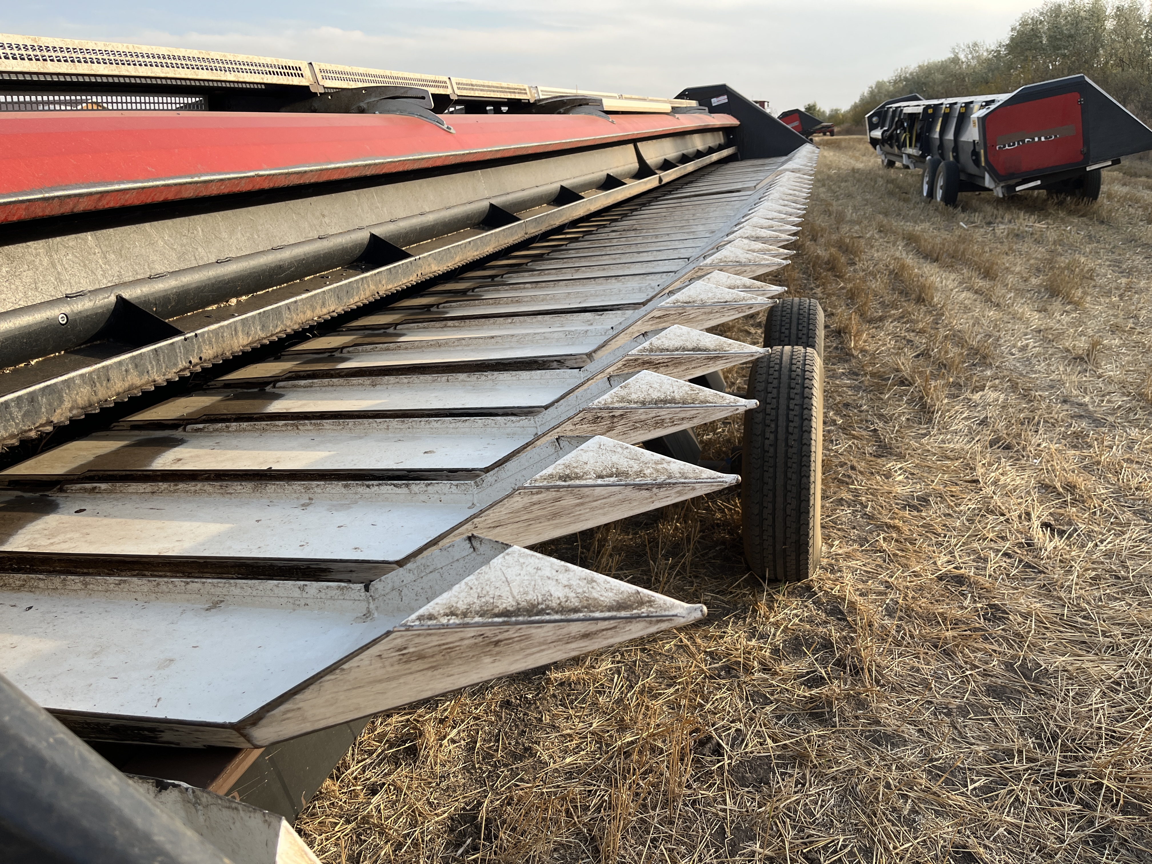 2019 Nardi Sunstorm SFH1200 Header RowCrop