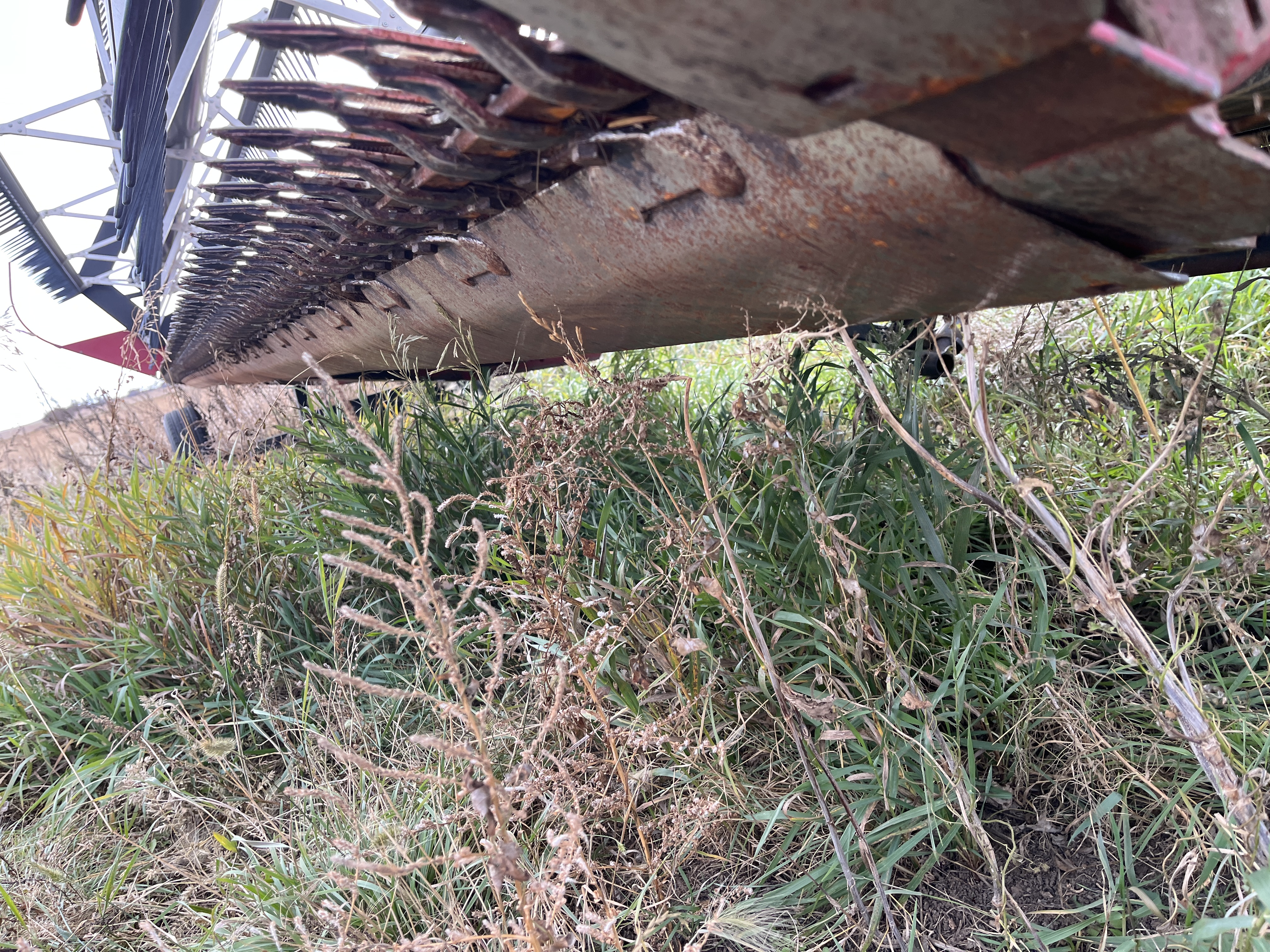 2006 Case IH WDX1202 Windrower