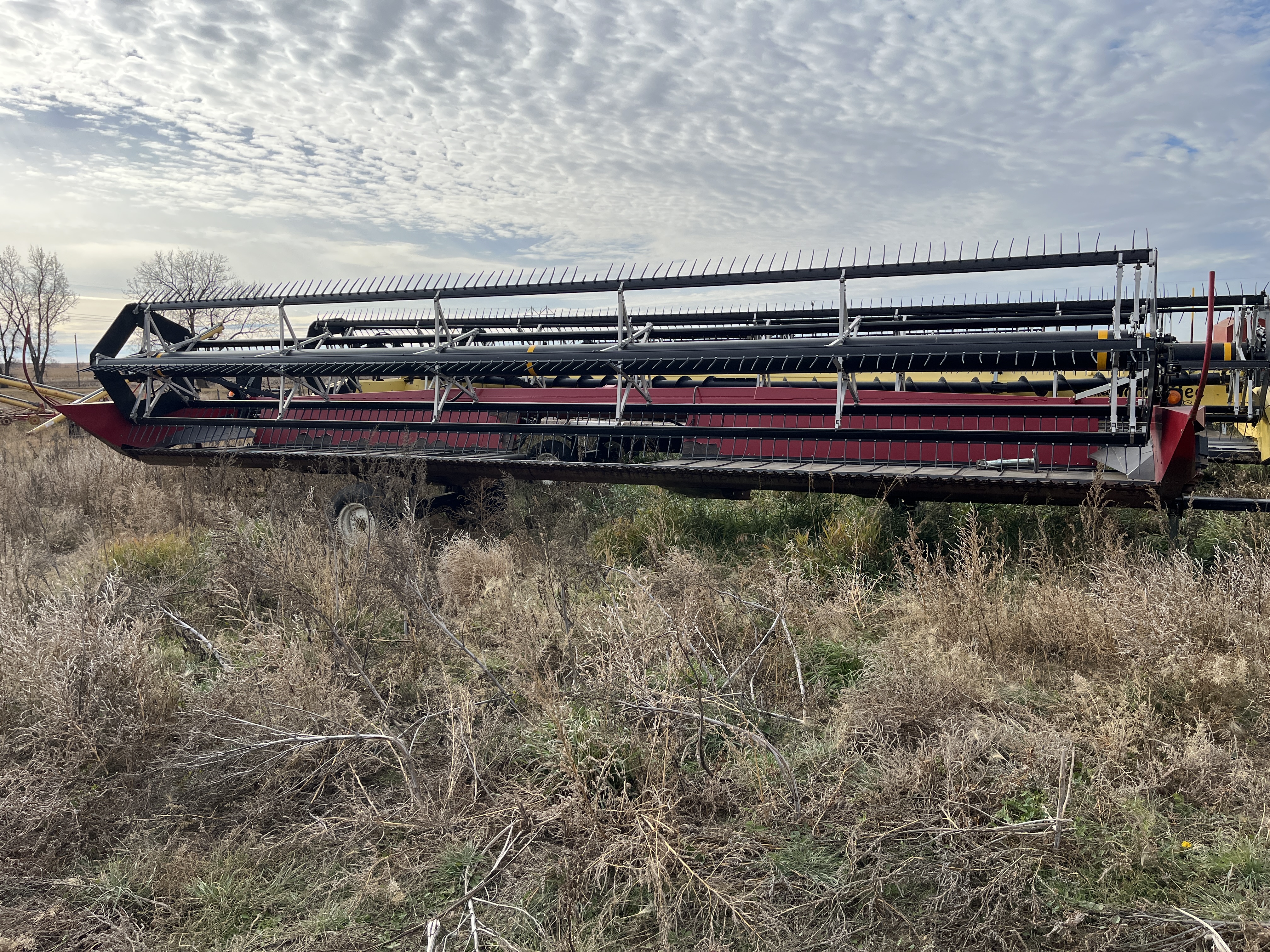 2006 Case IH WDX1202 Windrower