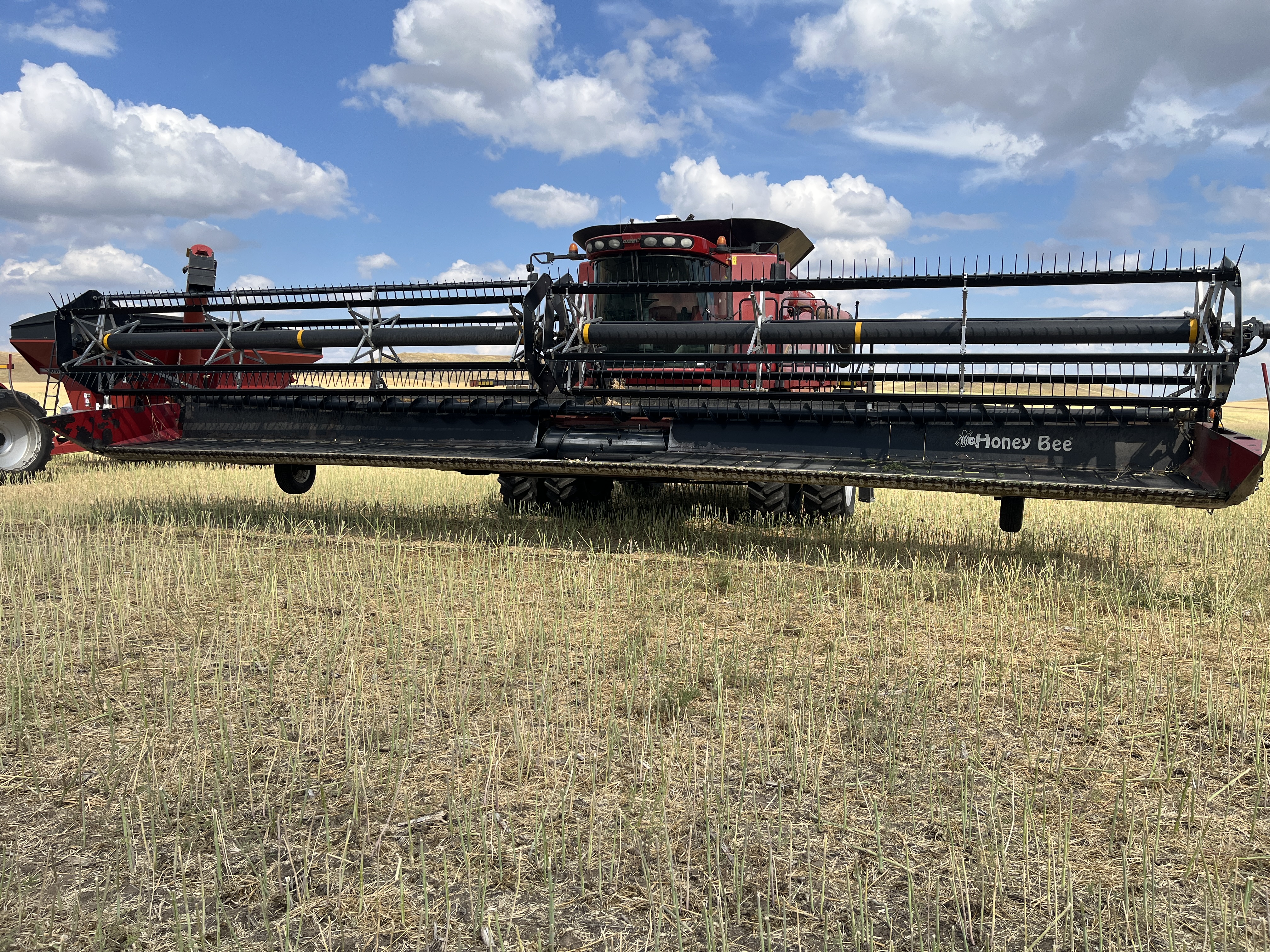 2009 Honey Bee SP40 Header Draper