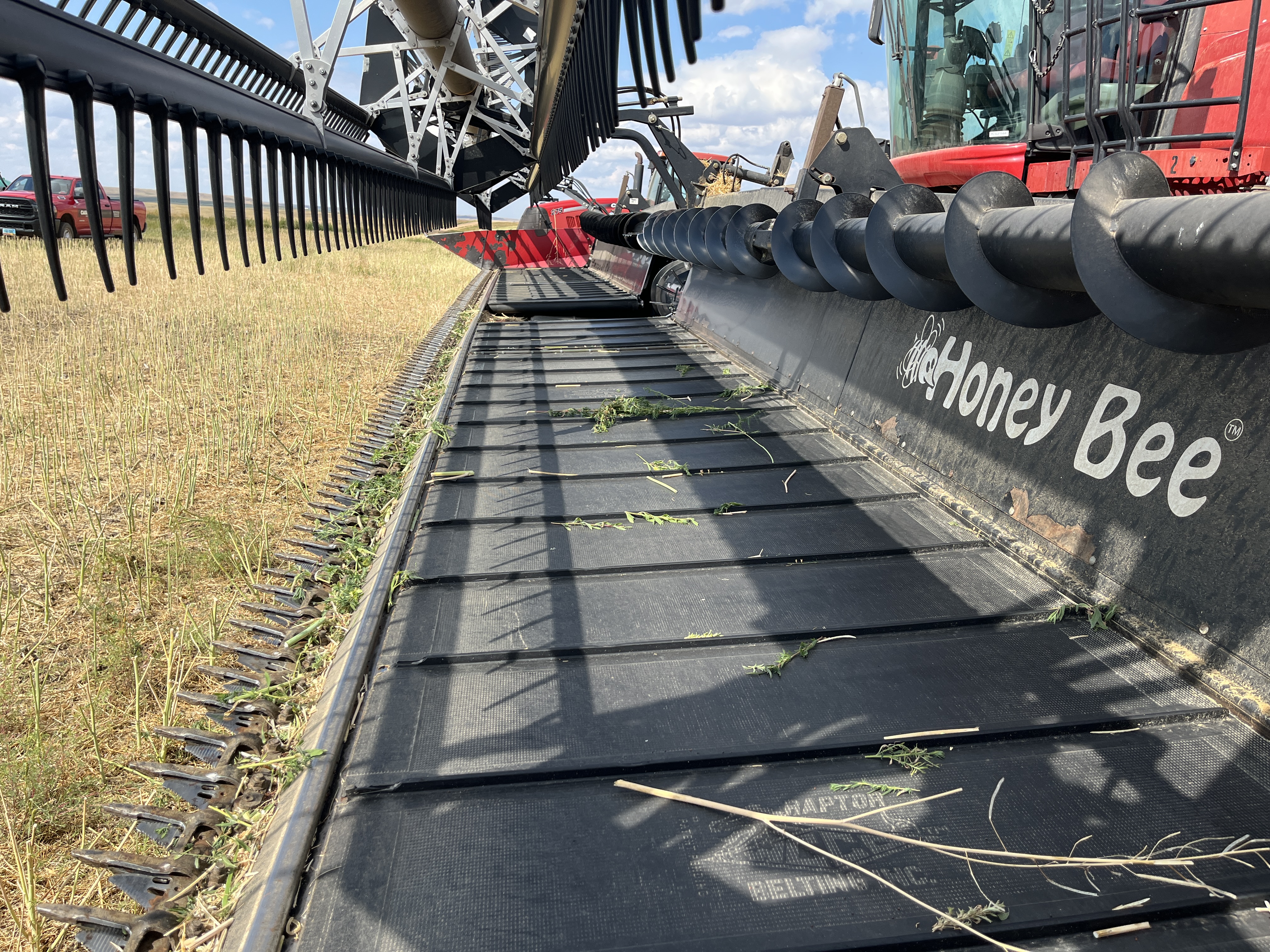 2009 Honey Bee SP40 Header Draper