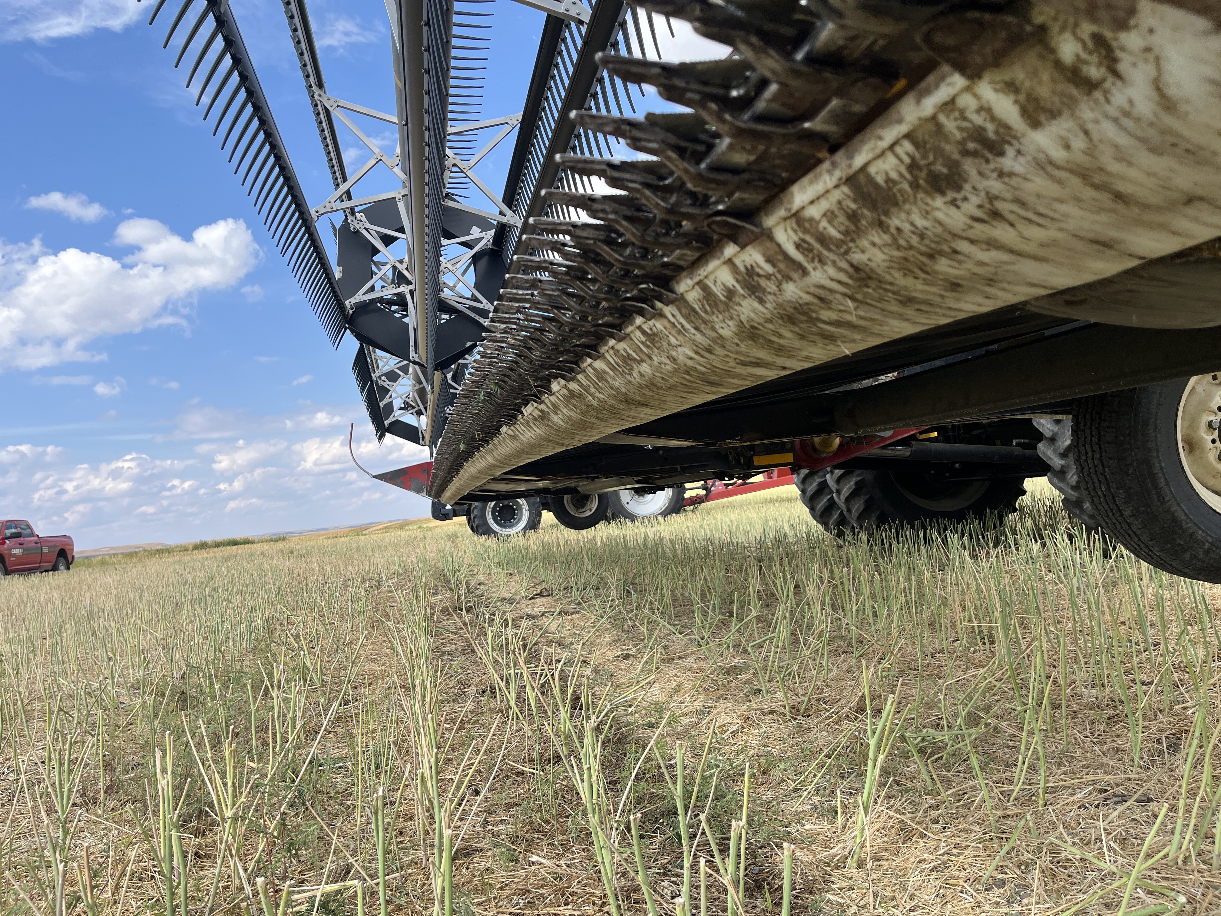 2009 Honey Bee SP40 Header Draper