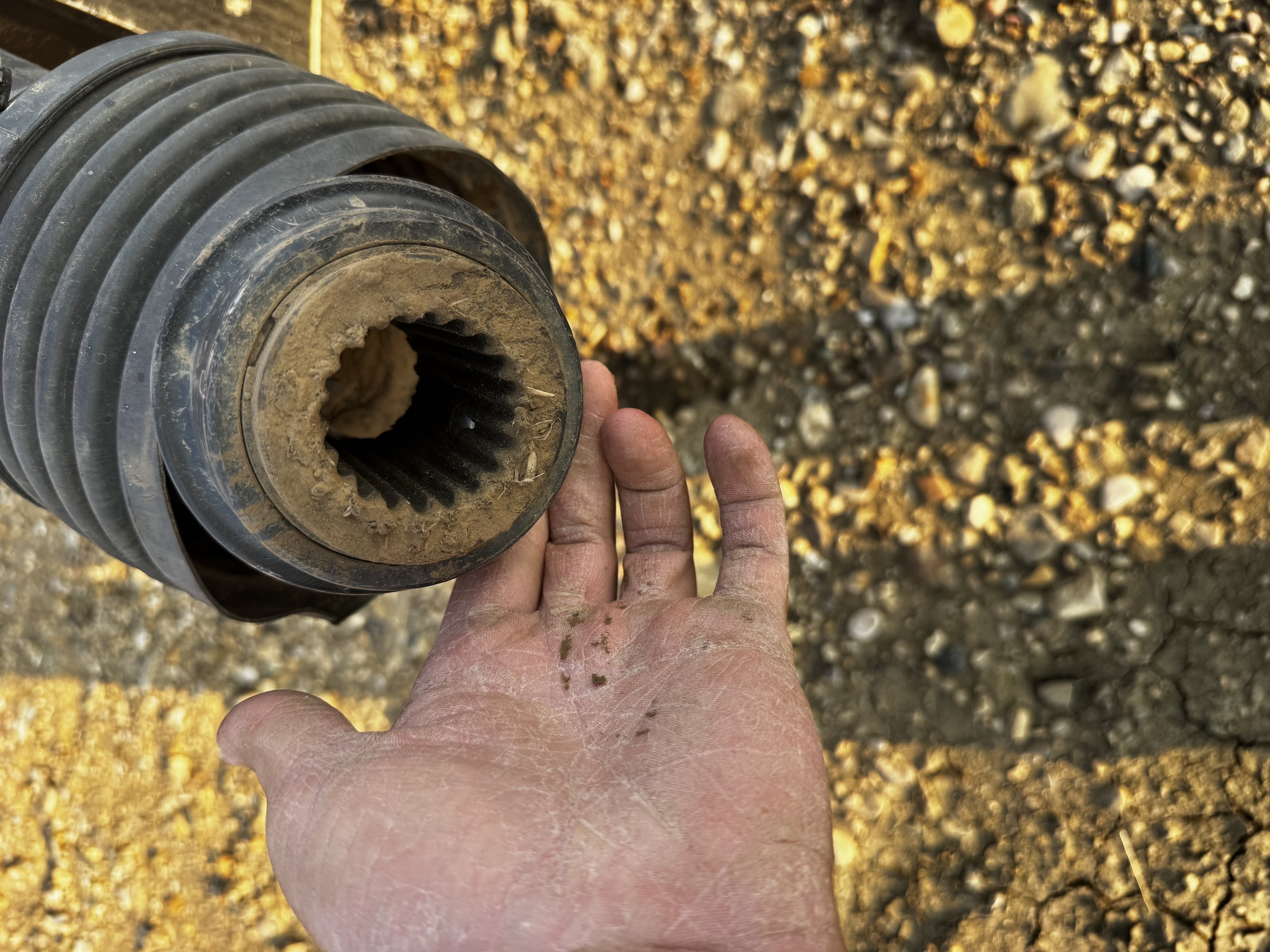 2021 Demco 1300 Grain Cart