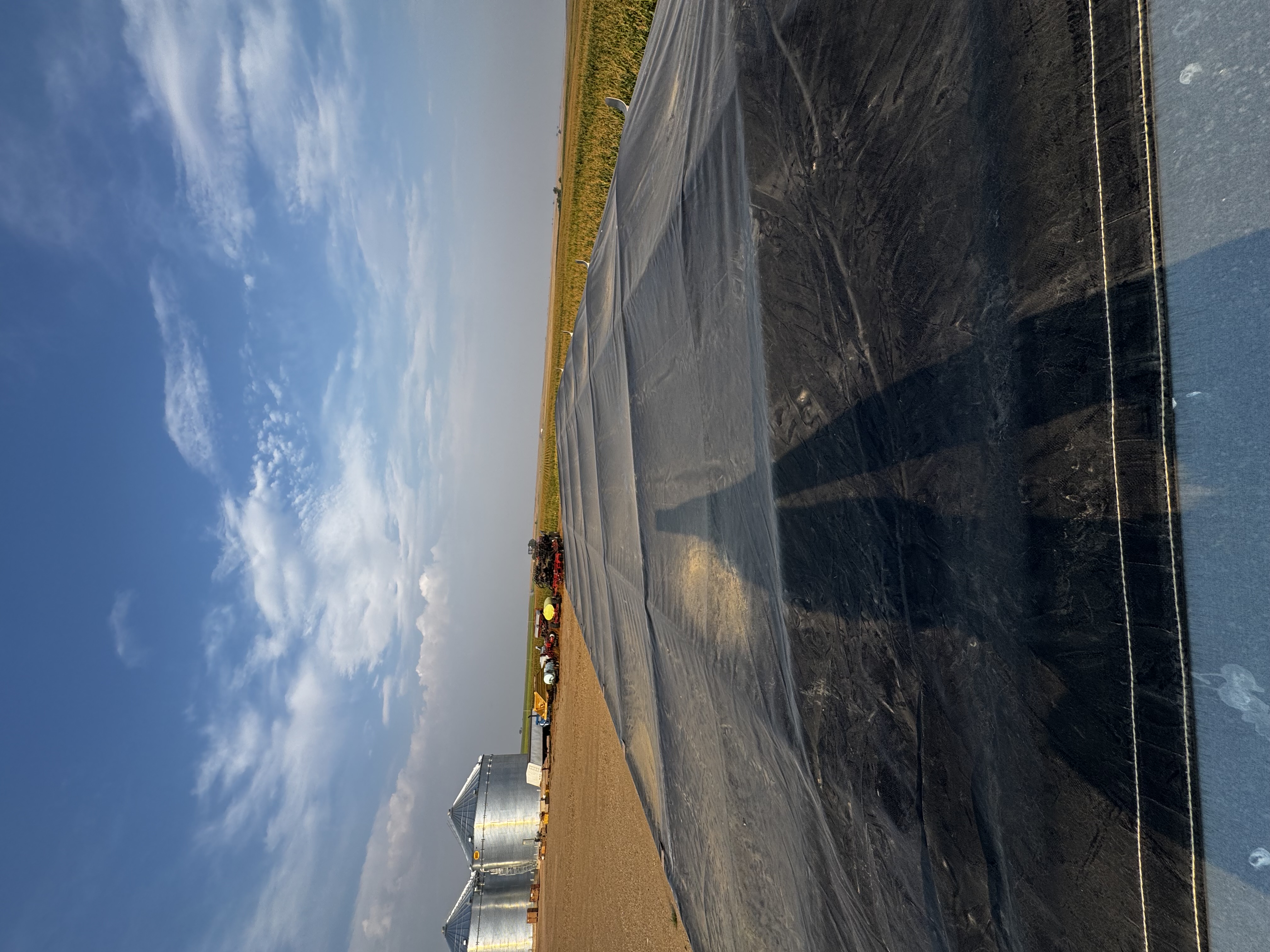 2021 Demco 1300 Grain Cart