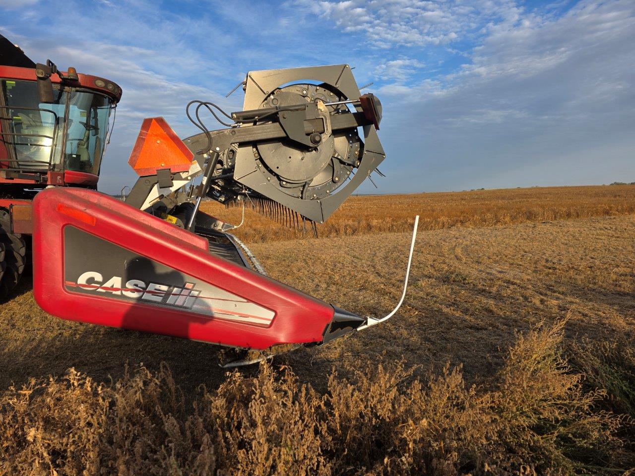 2012 Case IH 2162 Header Draper