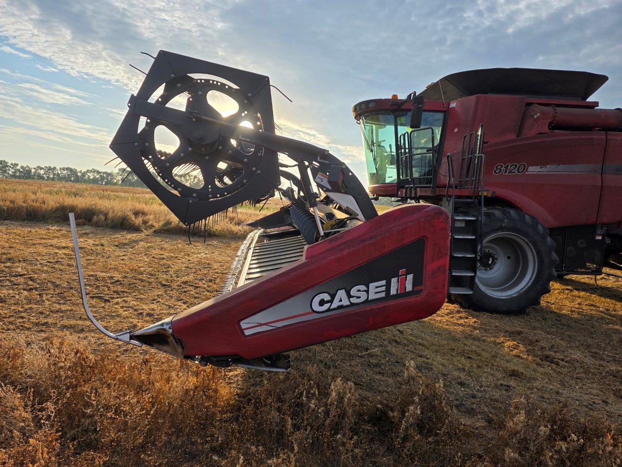 2012 Case IH 2162 Header Draper