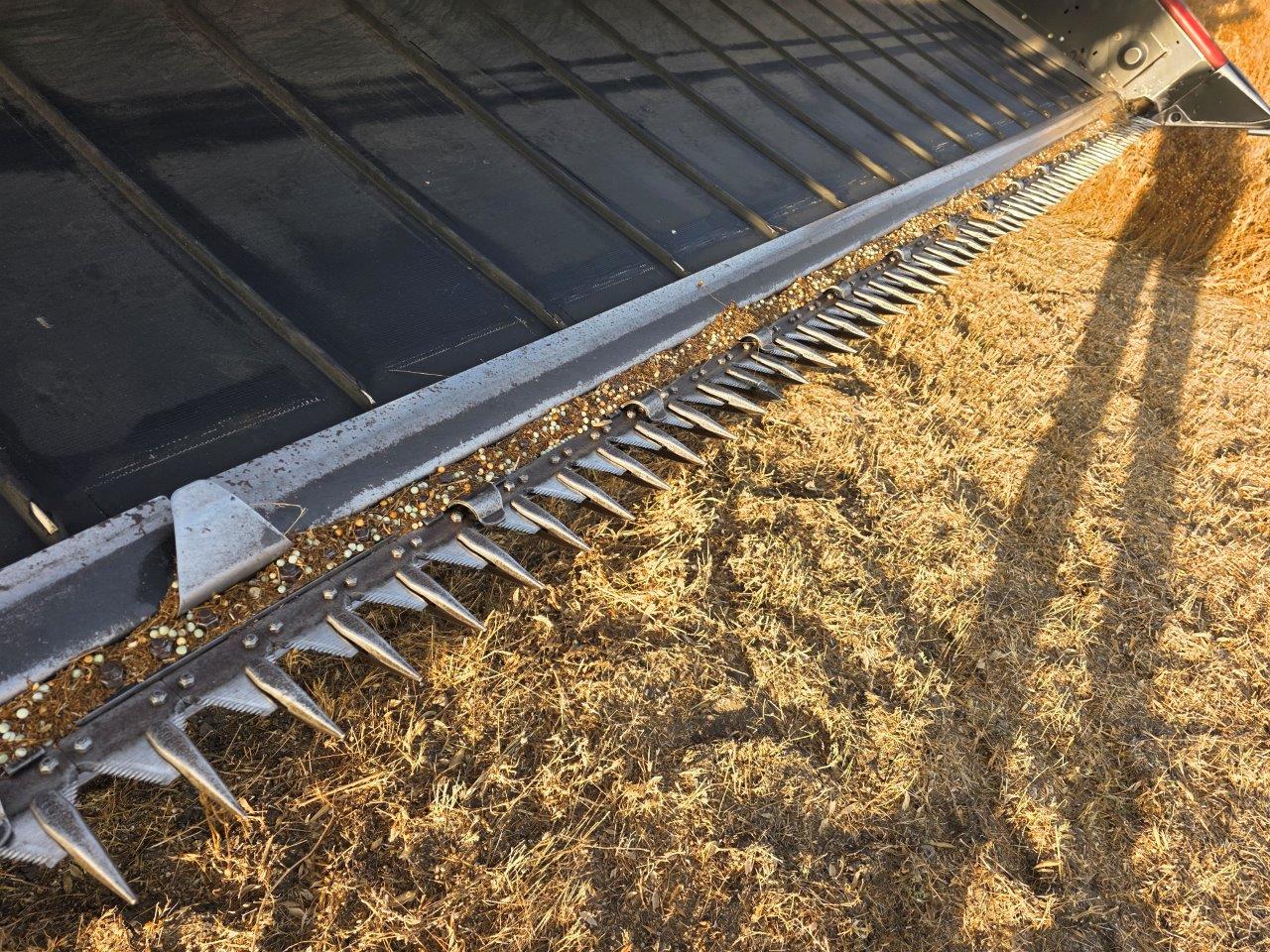 2012 Case IH 2162 Header Draper