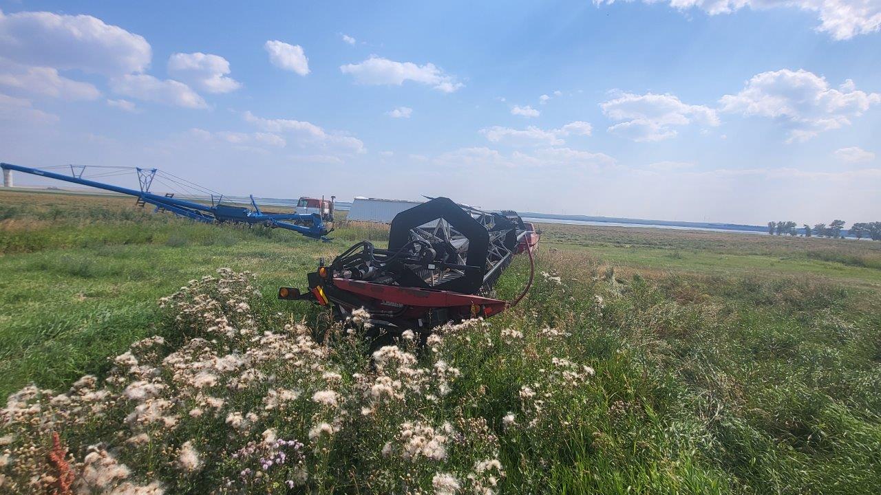 2009 Honey Bee SP40 Header Draper