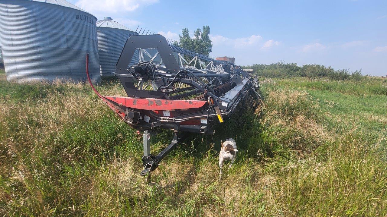 2009 Honey Bee SP40 Header Draper