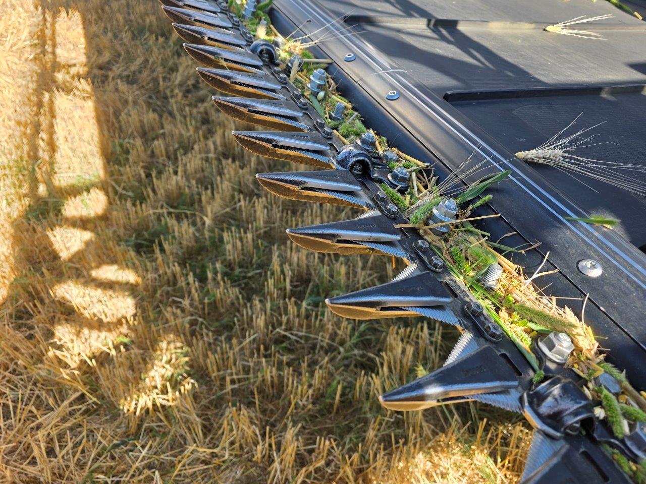 2025 MacDon FD240 Header Combine
