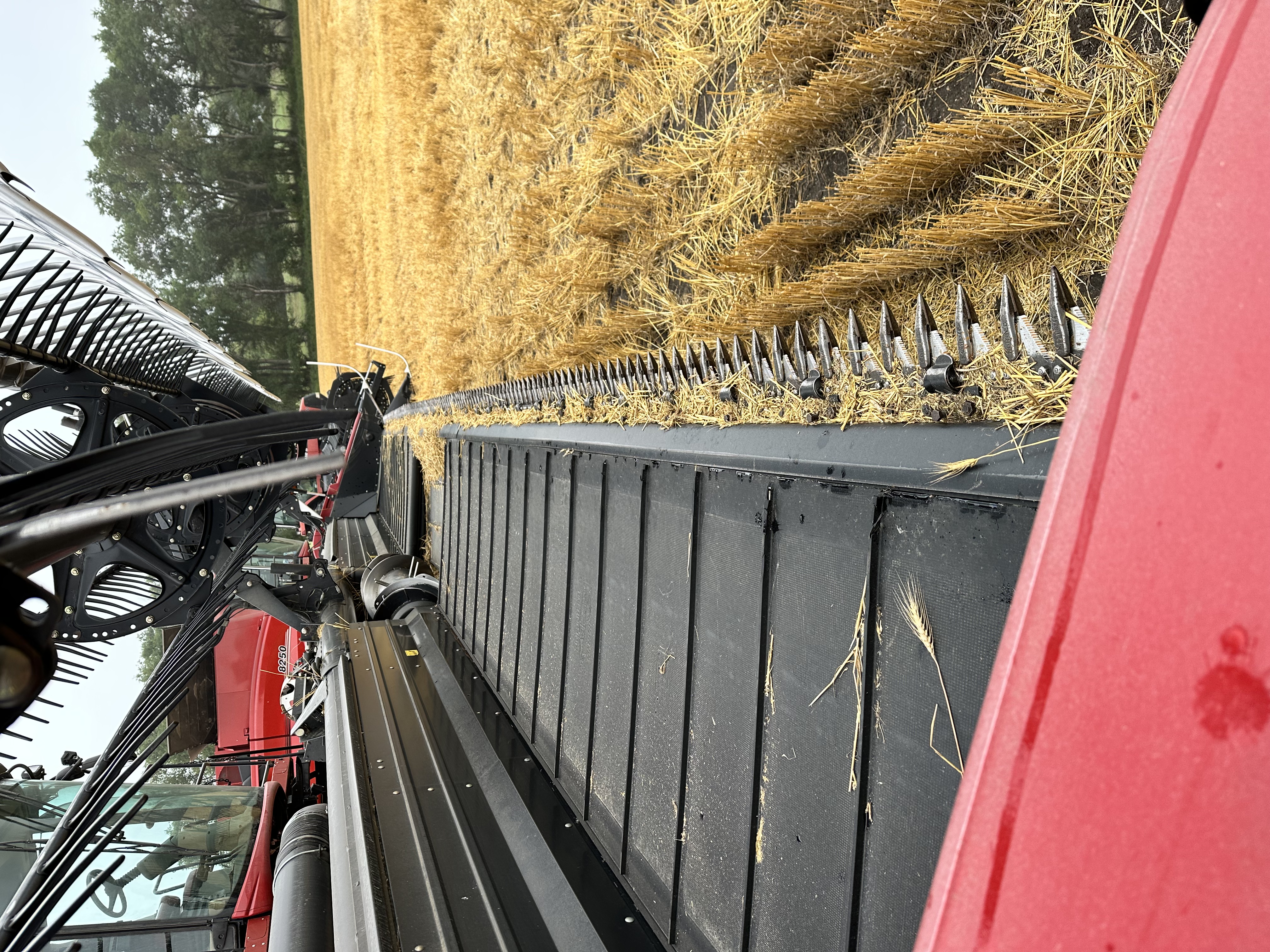 2012 Case IH 2162-40 SK Header Combine