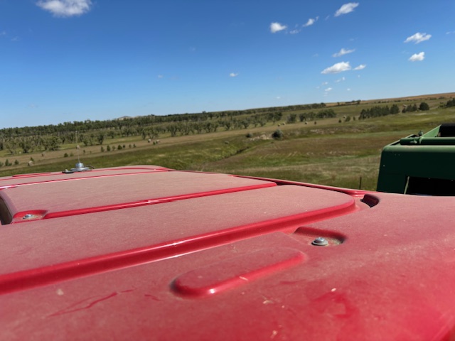 2022 Case IH Maxxum 150 MC T4B Tractor