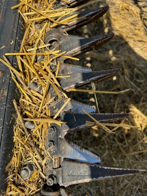 2023 MacDon FD245 Header Combine