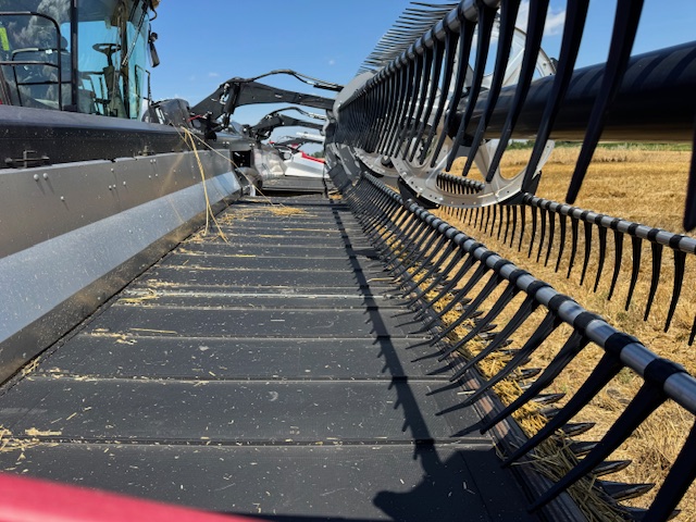 2023 MacDon FD245 Header Combine