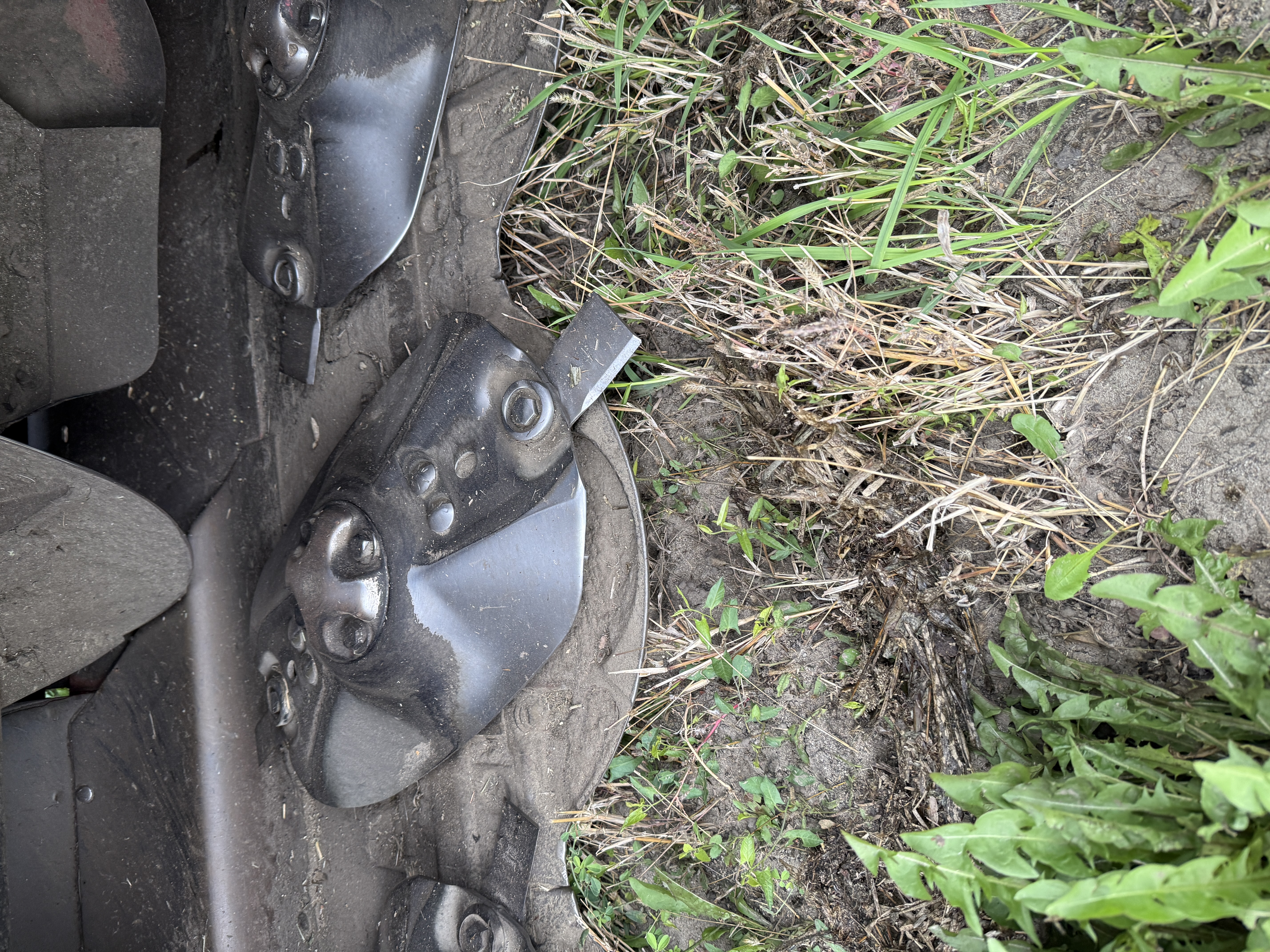 2021 Case IH WD2504 Windrower