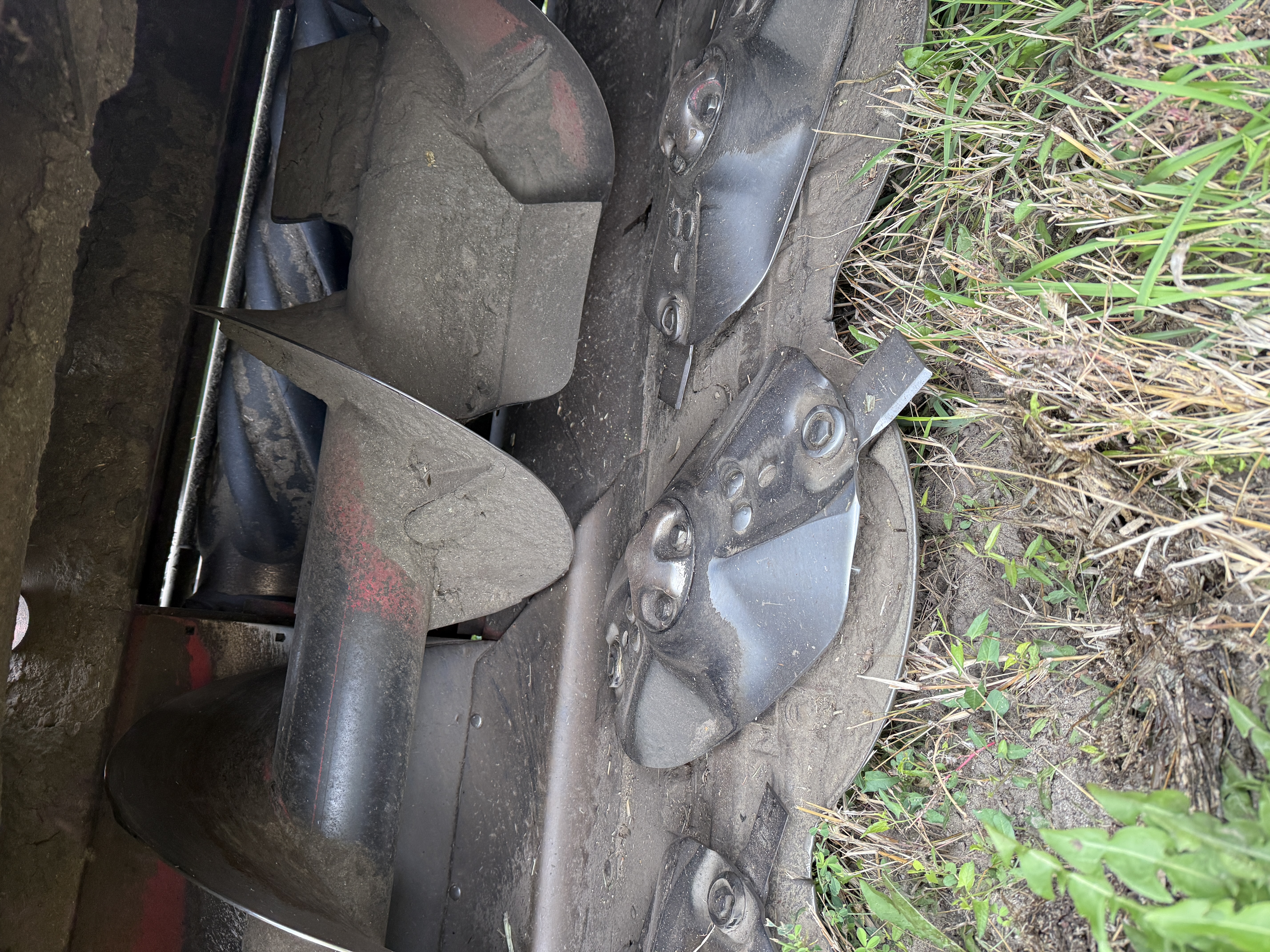 2021 Case IH WD2504 Windrower