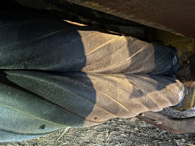 2019 New Holland Speedrower 160 Windrower