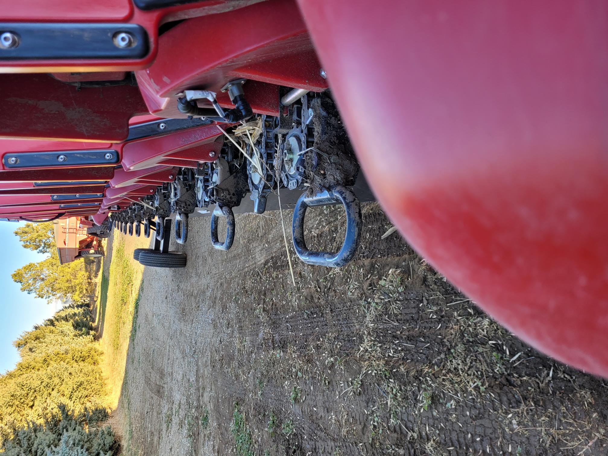 2023 Case IH 4412 Header Corn Head