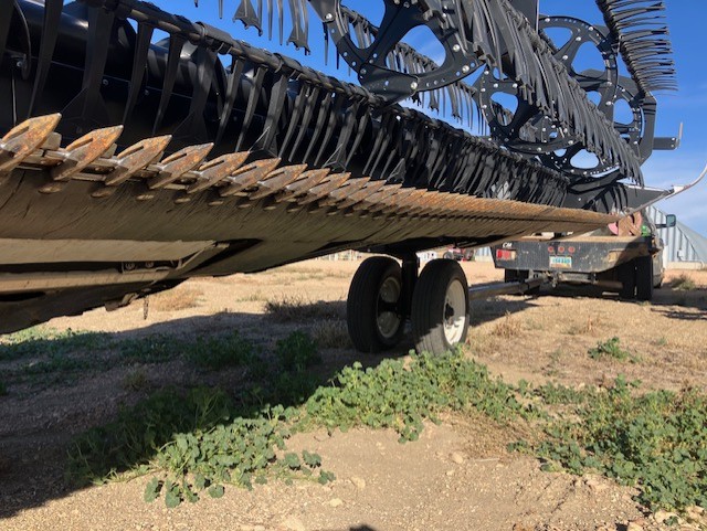 2019 MacDon FD140 Header Combine