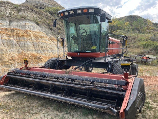 2009 AGCO Hesston 9345 Windrower