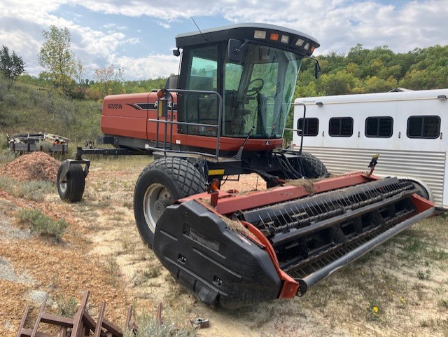 2009 AGCO Hesston 9345 Windrower