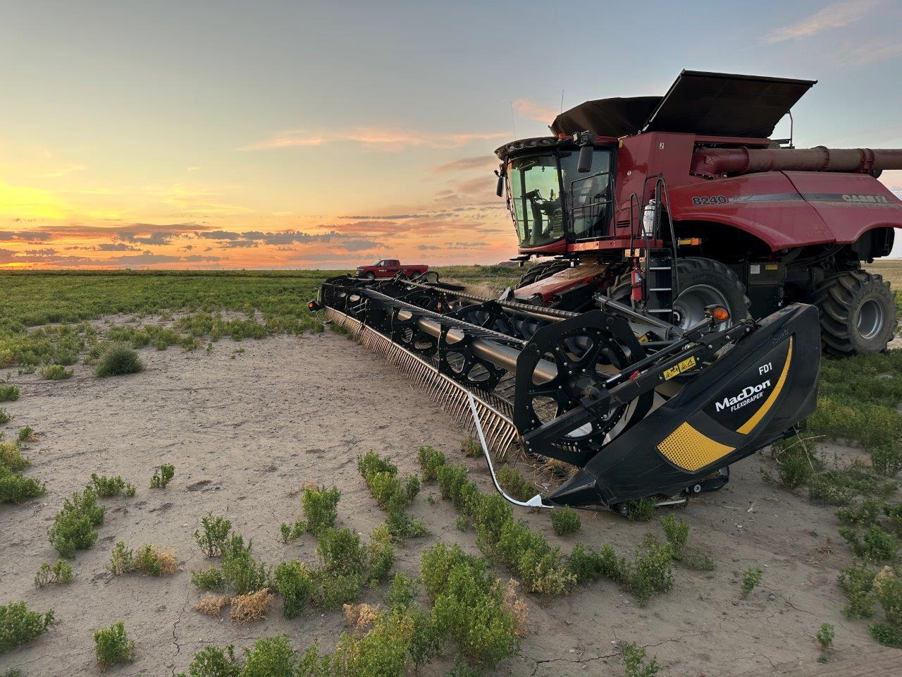 2020 MacDon FD145 Header Combine