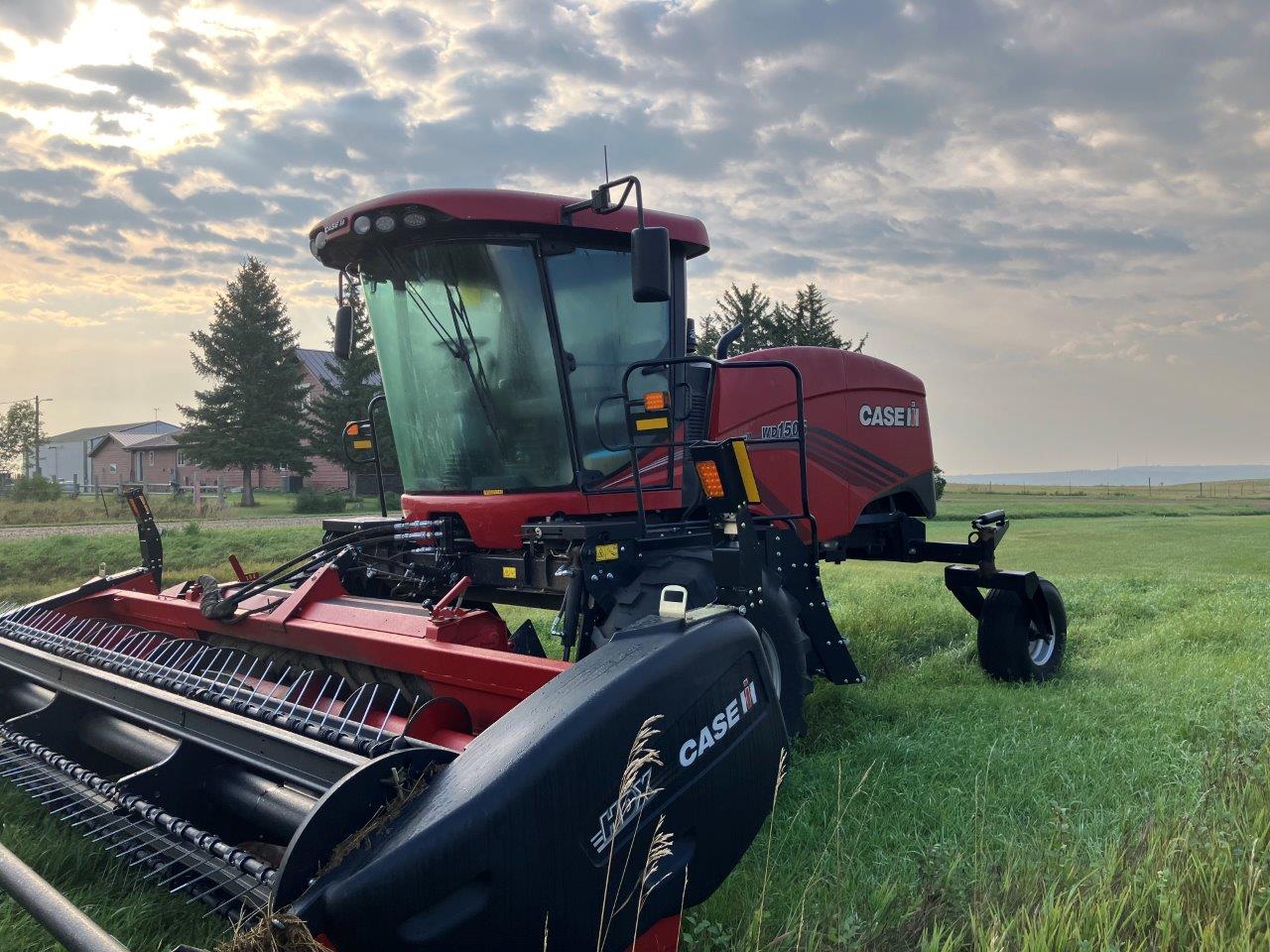 2024 Case IH WD1505 Windrower